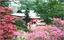 �Ⓦ�R�R�ω���ꏄ��E�Ⓦ�R�R�ω���ꏄ��o�X�c�A�[�\��